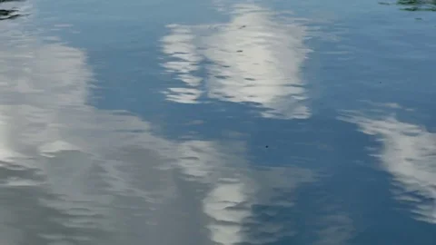 The surface of the water Stock Footage 76450563