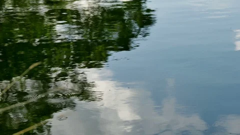 The surface of the water Stock Footage 76450676