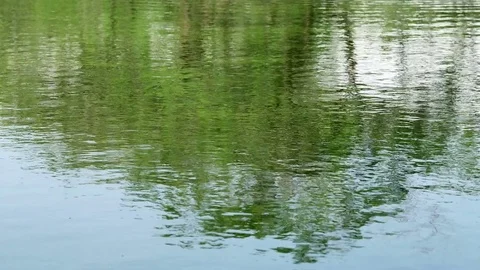 The surface of the water Stock Footage 76450822