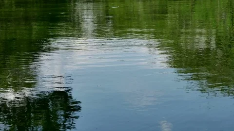 The surface of the water Stock Footage 76450884