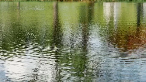 The surface of the water Stock Footage 76450902