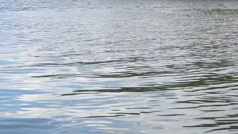 Surface of the water 库存影片 112952222