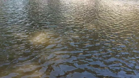 The surface of the water Stock Footage 285030009