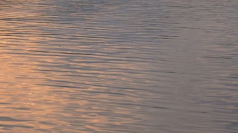 Surface water with golden light at sunset time Video stock 112014390