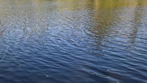 The surface of the water in a lake, river Stock Footage 250655759