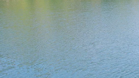 The surface of the water in a lake, river or flooded quarry Stock Footage 249591911