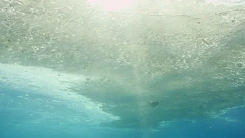 Surface of water in ocean is covered with layer of fat and plastic debris Stock Footage 243444258