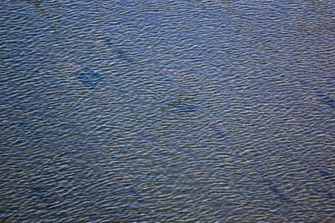 Surface of the water Stock Photos
