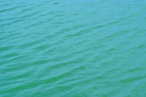 Surface of the water Stock Photos