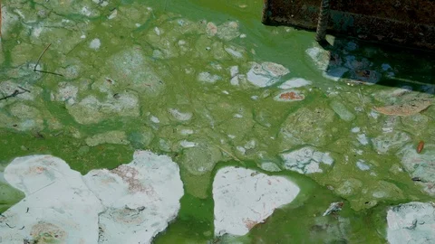 Surface water pollution in dam lake for industrial use in Mexico Stock Footage 128941374
