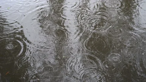 On the surface water in a puddle of emerge establishment and bubbles from drops  Video stock 116475384