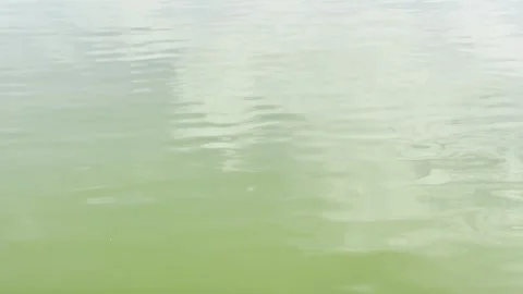 Surface of the water ripples reflection of the sky Stock Footage 302224187