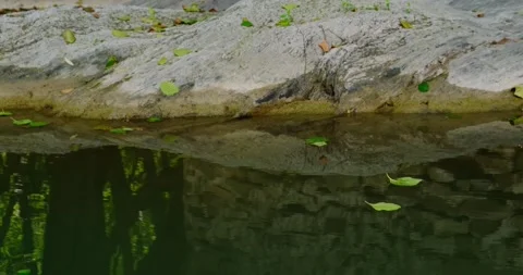 Surface of the water in the river Stock Footage 137649636