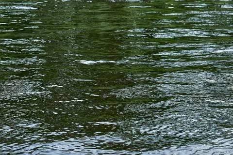 The surface of the water in the river in the summer Stock Photos