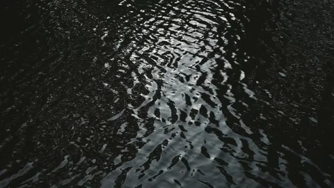 The surface of the water shows ripples reflecting light during a quiet moment. 動画素材 344527469