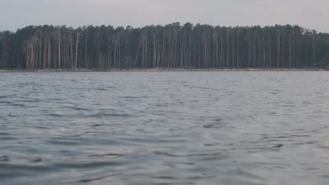 Surface of water with small waves on background of coast with pine forest. Stock Footage 244604259