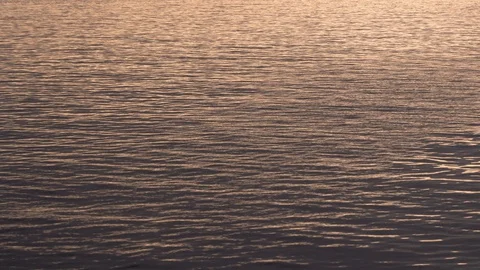 The surface of the water sways in the wind. Stock Footage 129522124