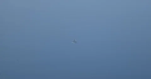 Surface of the water. The texture of the water. Stock Footage 126847015