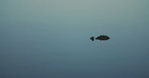 Surface of the water. The texture of the water. It's a small island. Video stock 126846800