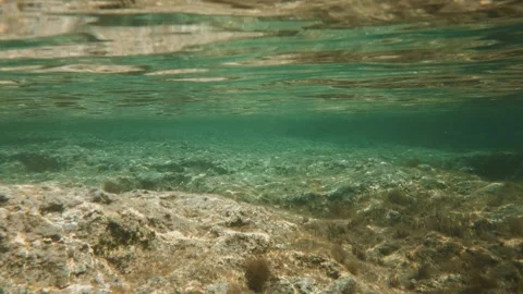 At the surface of the water under the water Vídeo Stock 328319208