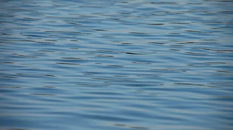 Surface Waves of Blue Water Stockbeeldmateriaal 452062