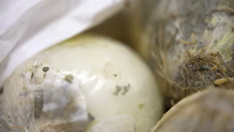 Surface of white onions covered with black spots called mold, multiplying fungal Stock Footage 305061849