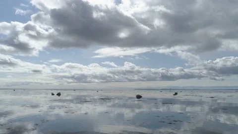 The surface of the White Sea Stock Footage 149949091