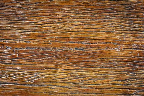 The surface of the wood has a cracked pattern and is coated with lacquer. 스톡 사진