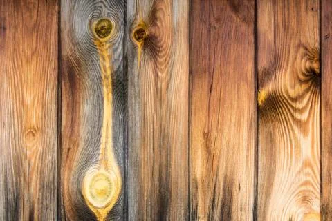 Surface of wood texture with natural pattern. Stock Photos