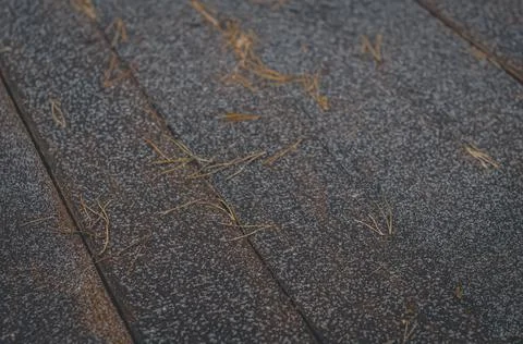 The surface of the wooden table is covered with the first snow and coniferous Stock Photos