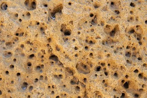 The surface of the yellow shell stone in close-up. Fotos de archivo