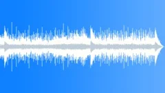Surfari Stock Music