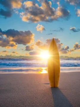 Surfboard on the beach at sunset Stock Photos