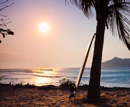 Surfboard on the palm Stock Photos