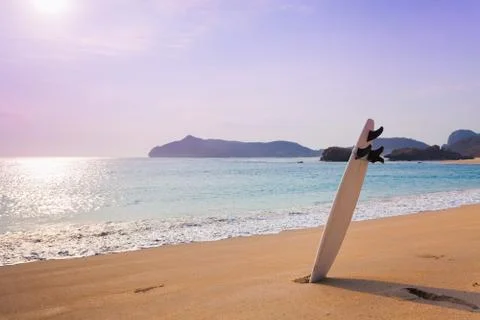 Surfboard on the wild beach Stock Photos