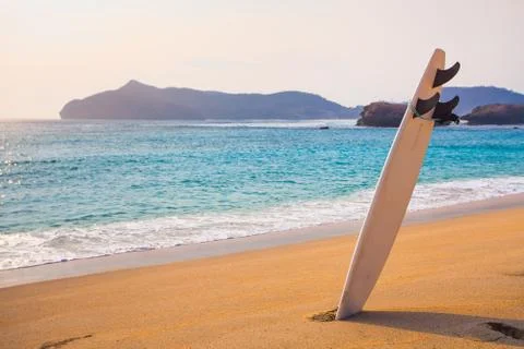 Surfboard on the wild beach Stock Photos