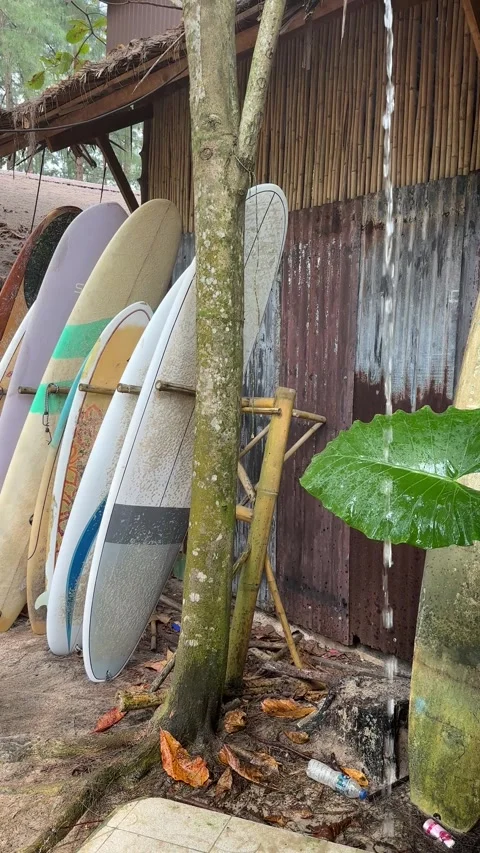 Surfboards Leaning Against a Rustic Shack in Tropical Setting Stock Footage 277685510