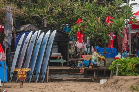Surfboards Lined Up on a Tropical Beach Foto stock
