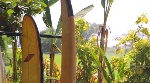 Surfboards in Rack on Tropical Beach Stock Footage 50448136