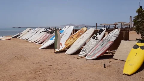 Surfboards stand in rows on the sand on the beach by the sea. Stock Footage 111364194