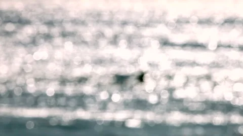 Surfer 06 - rack to floating in water Stock Footage 5088952