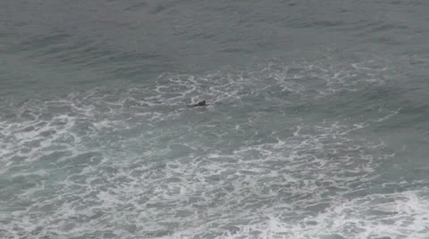 Surfer 30 Stock Footage 22983613