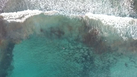 Surfer among the immensity of the ocean Stock Footage 90448397