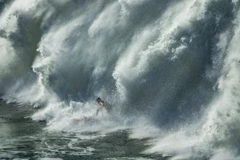 The surfer and the wave Stock Photos