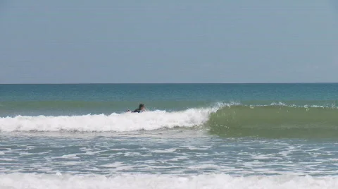 Surfer approaching a small wave and get up to actually ride the wave Stock Footage 558911