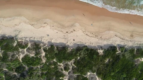 Surfer at the beach Stock Footage 146571635