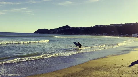 Surfer at the Beach Stock Footage 169495455