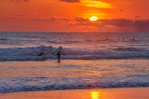 Surfer on beach Stock Photos