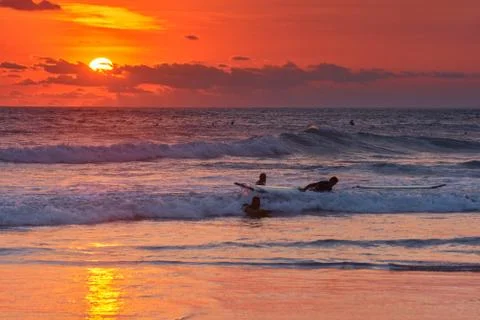 Surfer on beach Stock Photos