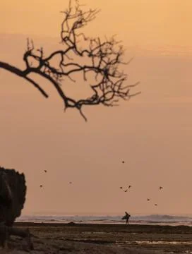 Surfer at the beach 스톡 사진